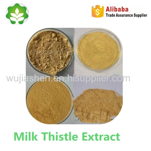 GMP certificated silymarin extract used in animals feed