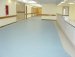 plastic flooring commecial pvc flooring 2.0mm