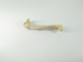 Canine/Dog scientific Skeleton model /Femur and Tibia for Veterinary education and practice use