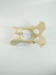 Canine/Dog Scientific Pelvis Skeleton Model Veterinary Education and Practice use