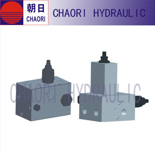 Special purpose valve for hydraulic cylinder