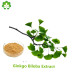 natural herbs ginkgo leaves extract on pharmaceutical grade