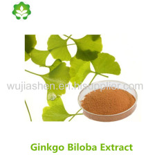 natural herbs ginkgo leaves extract on pharmaceutical grade