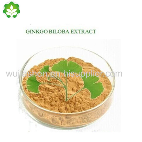 GMP certificated ginkgo biloba extract on food grade