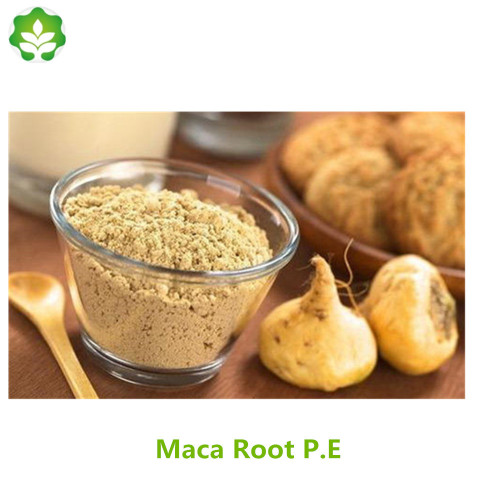 natural Maca root extract without side effects