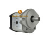 Hydraulic gear pump for the power station