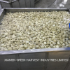 Canned whole champignon buttom mushroom from China supplier factory mass production 2018