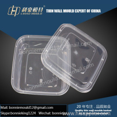 disposable thin wall rectangle container mould solution