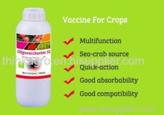 Oligosaccharins 2% SL (Vaccine for crops)