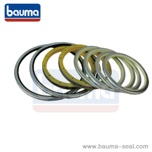 DUST SEAL DLW-VAW SEAL