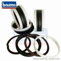 KIT SEAL(PISTON SEAL) MADE IN CHINA