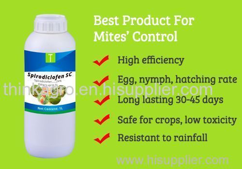Spirodiclofen 24% SC (Perfect product to control Mites)