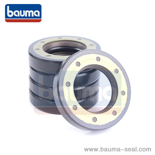 OIL SEAL BZ-CJ YP1710195 SAEL