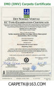 IMO DNV Maritime Certificate