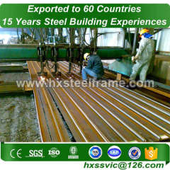 Main steel structure and lightweight steel frame hot sale in Benin