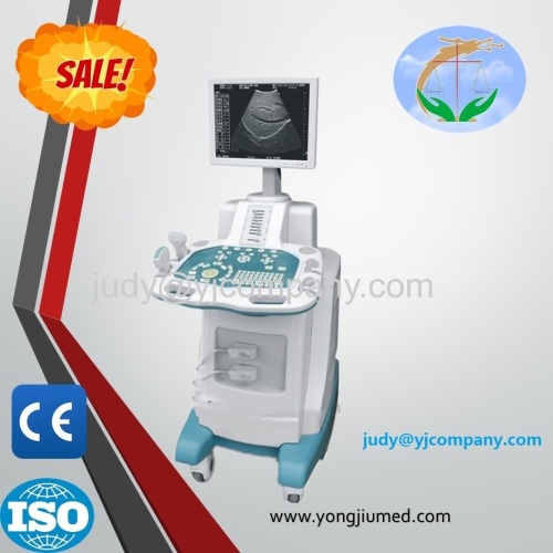 New Trolley B Ultrasound Animal Human Double Used usg Machine