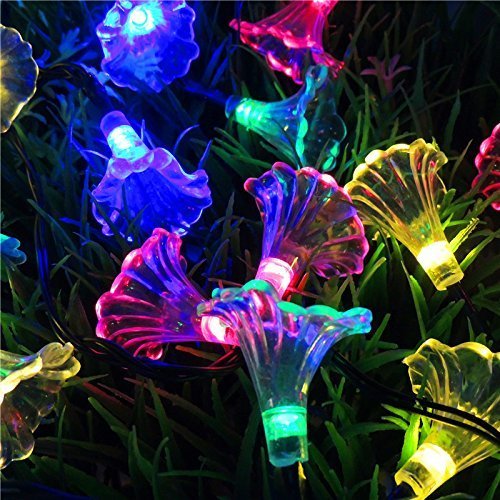 Solar Morning Glory String Lights 4.8M 20LED Waterproof Fairy Decorative Lighting for Indoor/Outdoor