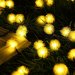 Warm White/Yellow WaterProof 20LED 4.8M/16ft Chuzzle Ball Solar Chestnut String Lgihts Wedding/Gardens/Party Decoration