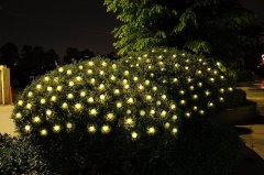 Cool-White WaterProof 20LED 4.8M/16ft Chuzzle Chestnut Ball Solar String Lgihts Wedding/Gardens/Party Decoration