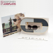 Hot Sale High End Acrylic All Graphic Sunglasses Display