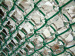 PVC coated chain link mesh