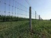 Galvanized Farm Land Fence