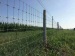 HOT DIP GALVANIZED DEER FENCE