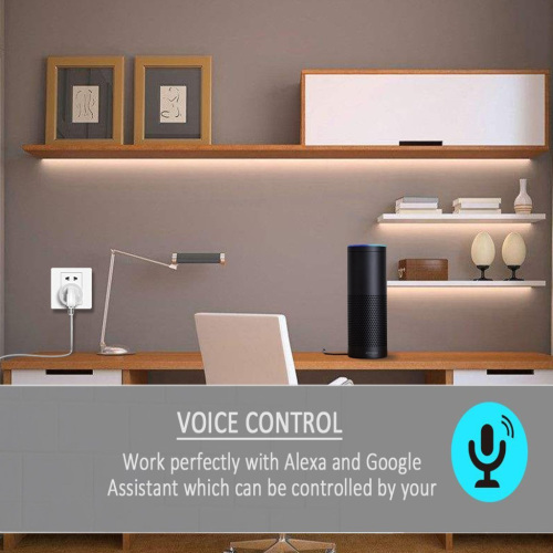 WiFi Control Smart Timer Outlet with USB Port