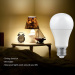 Multicolored Home Warm White Smart Wi-Fi LED Bulb