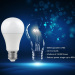 Multicolored Home Warm White Smart Wi-Fi LED Bulb