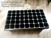 45 cell plastic deep cell seed tray for tree 490*280*140mm