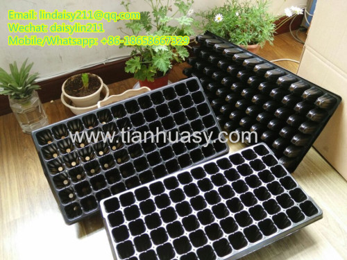 72 cell seed germination tray for tree 540*280*70mm