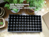 72 cell plastic tree seed tray 540*280*90mm