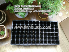 72 cell plastic tree seed tray 540*280*90mm