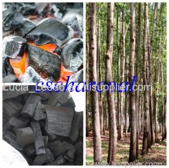 Acacia Charcoal from Vietnam