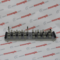 1C31132G01 Analog Outputs (PM)