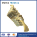 Human section of vertebral column specimen plastination