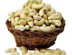 Quality Poland Raw Cashew Nuts