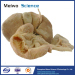Medical liver pancreas duodenum spleen plastination specimen