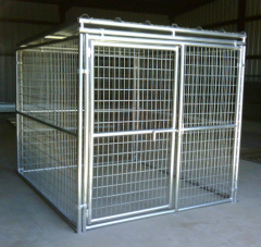 Galvanized welded wire mesh modular nice dog kennel