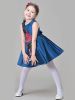Bow Flower Embroidery Ruffled Tutu Princess Party Dress for Toddlers Girls Wholesale