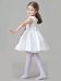 Bow Flower Embroidery Ruffled Tutu Princess Party Dress for Toddlers Girls Wholesale