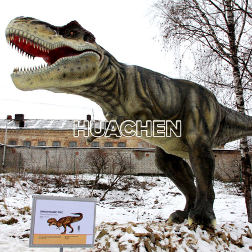 HC-Dinosaur park attractions life size animatronic dinosaur for sale