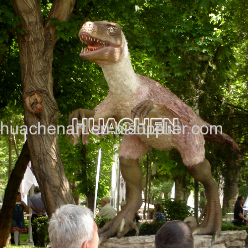 HC-Natural History Museum Dinosaur Exhibit Feathered Velociraptor