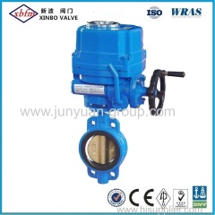 Wafer Type Centreline Butterfly Valve (with Pin)