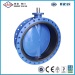 Cast Iron Double Flange Centreline Butterfly Valve