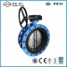 Cast Iron Double Flange Centreline Butterfly Valve