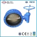 Cast Iron Double Flange Centreline Butterfly Valve