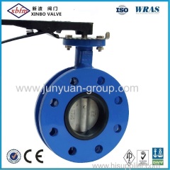 Double Flange (U Type) Centreline Butterfly Valve