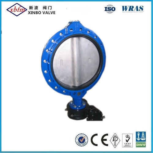 Wafer Type Backed Seat Butterfly Valve